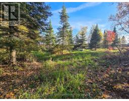 Pcl5224 Little Road, Englehart, ON P0J1H0 Photo 19