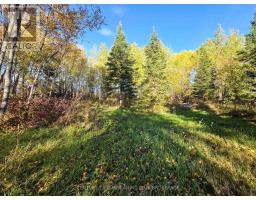 Pcl5224 Little Road, Englehart, ON P0J1H0 Photo 20