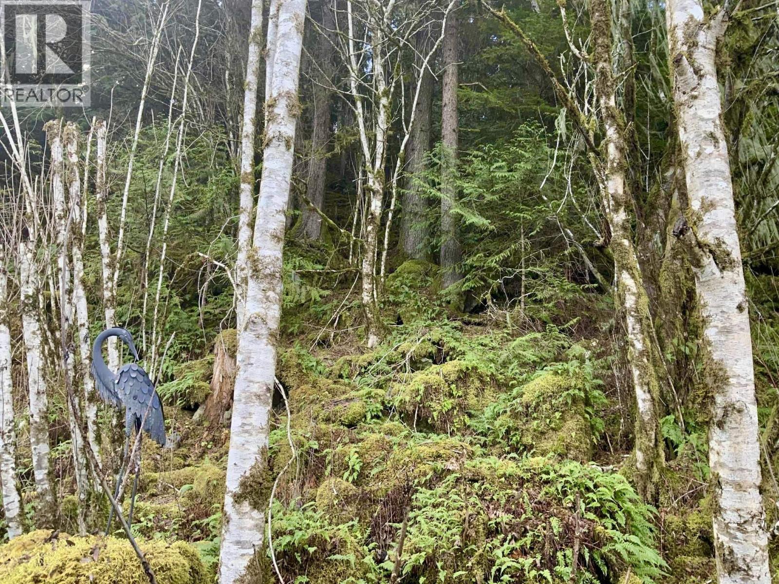 259 20 MACKENZIE HIGHWAY - 29