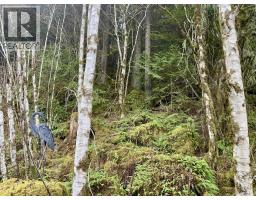 259 20 Mackenzie Highway, Hagensborg, BC V0T1H0 Photo 29