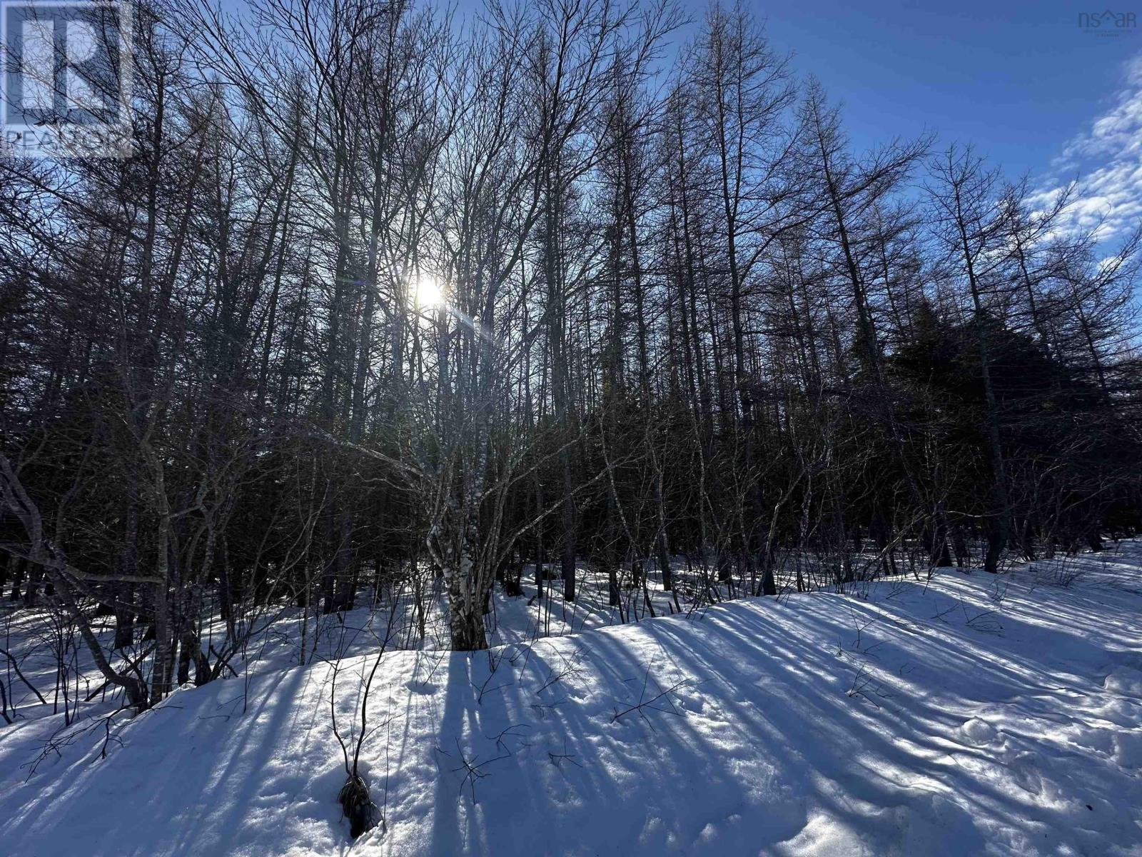 Property 14 of 25 of Lot 4C Whycocomagh-Port Hood Road