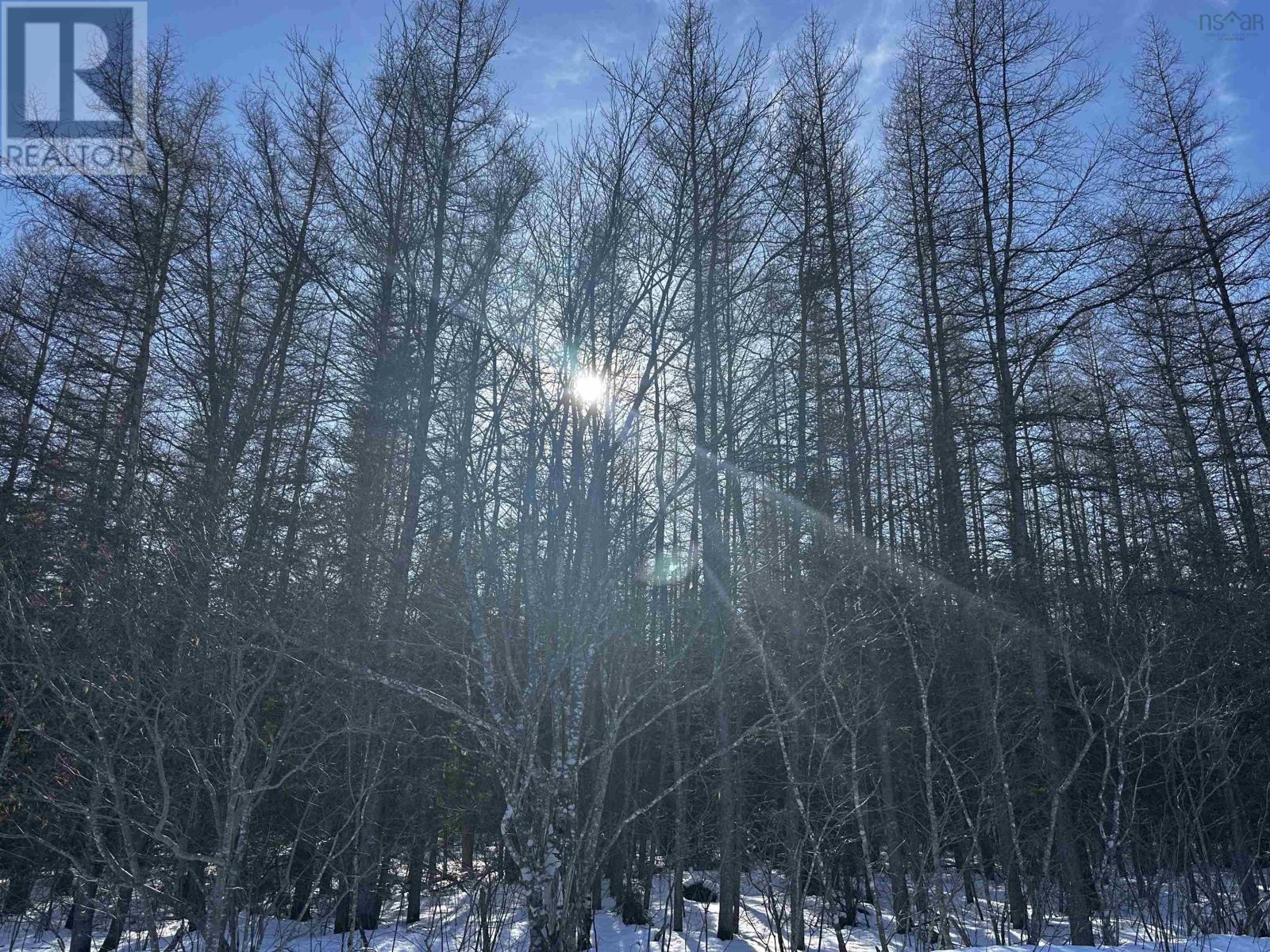 Property 3 of 25 of Lot 4E Whycocomagh-Port Hood Road