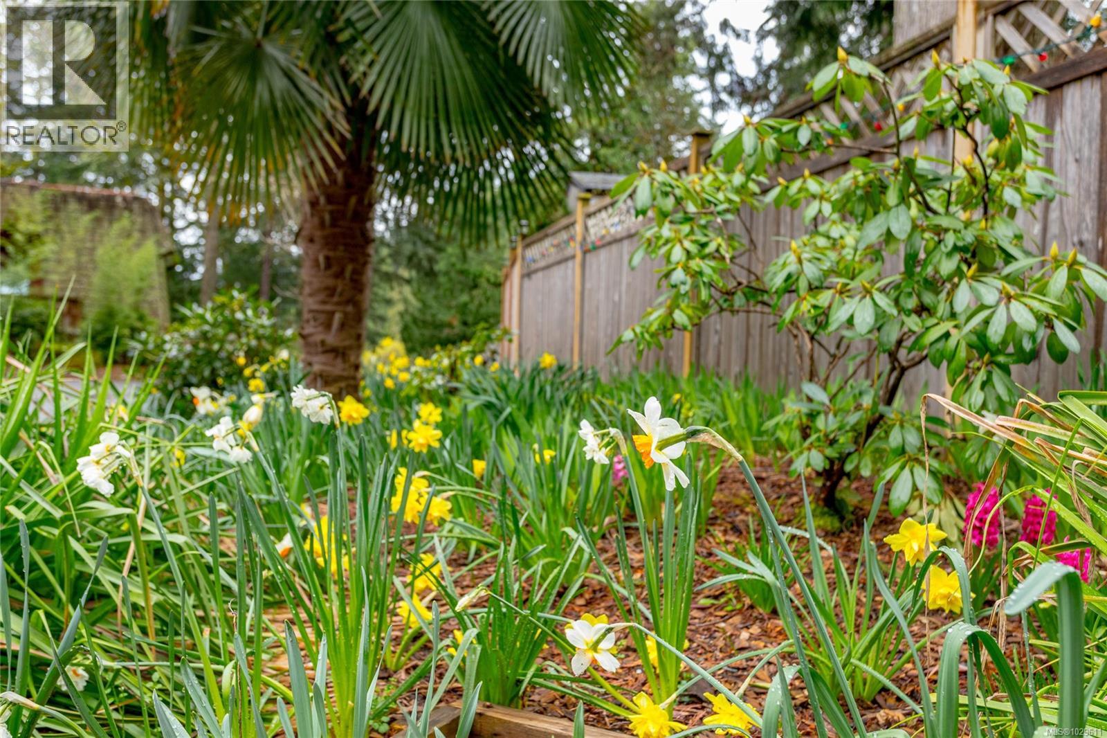 #41 2500 FLORENCE LAKE RD - Image 2