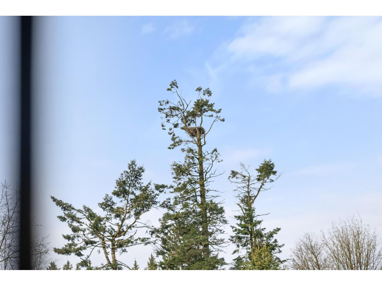 3711 142ND STREET, Surrey