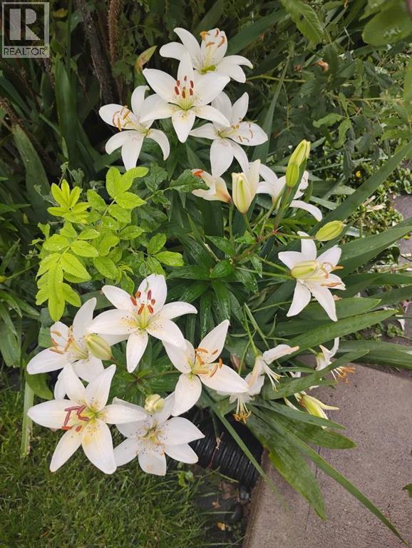 Single Family House for Sale in  Chapalina Place SE Chaparral Calgary 