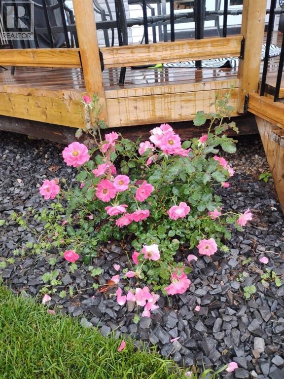 Single Family House for Sale in  Chapalina Place SE Chaparral Calgary 