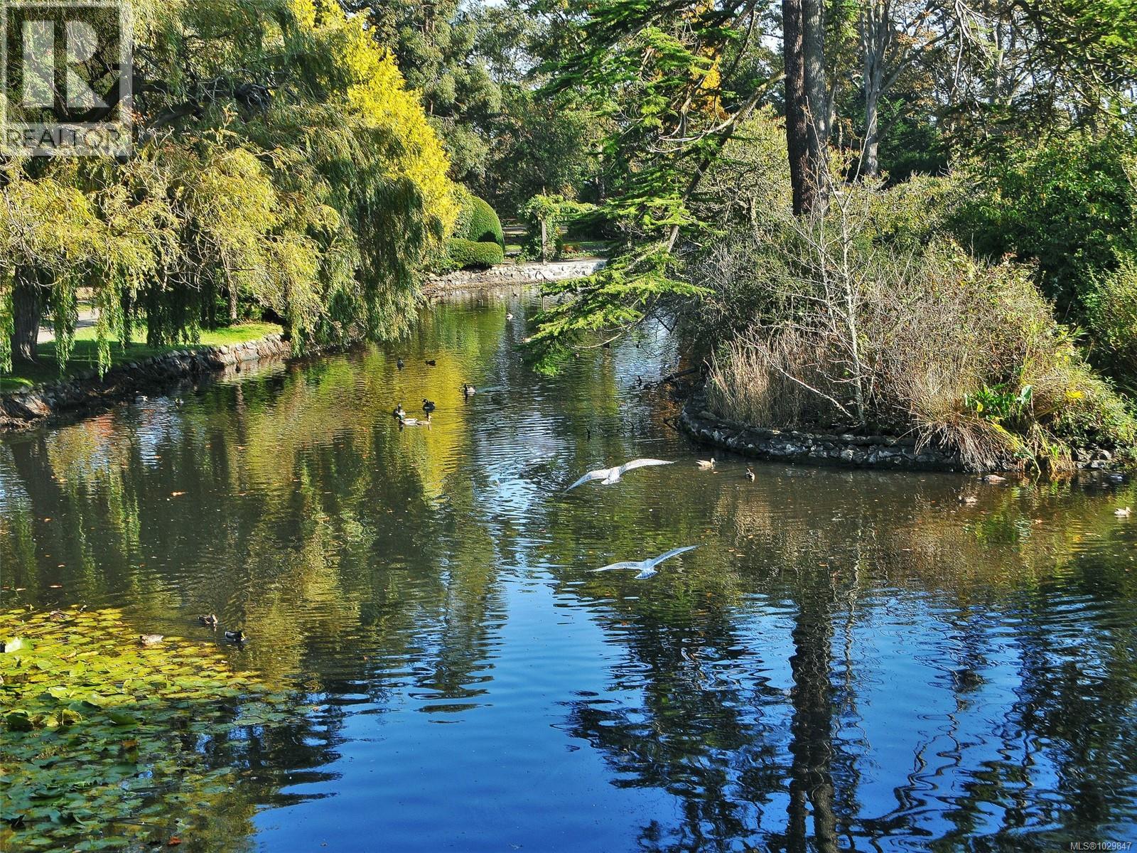 401 1204 Fairfield Road, Victoria