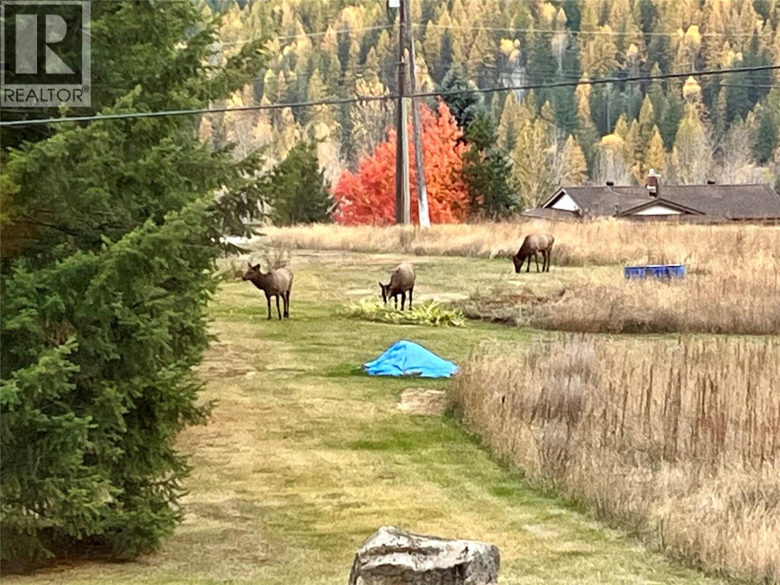 1953 SANDY ROAD - 55