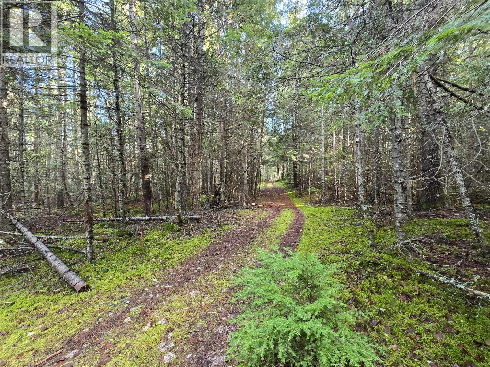 784 Lewis Road, Harrop