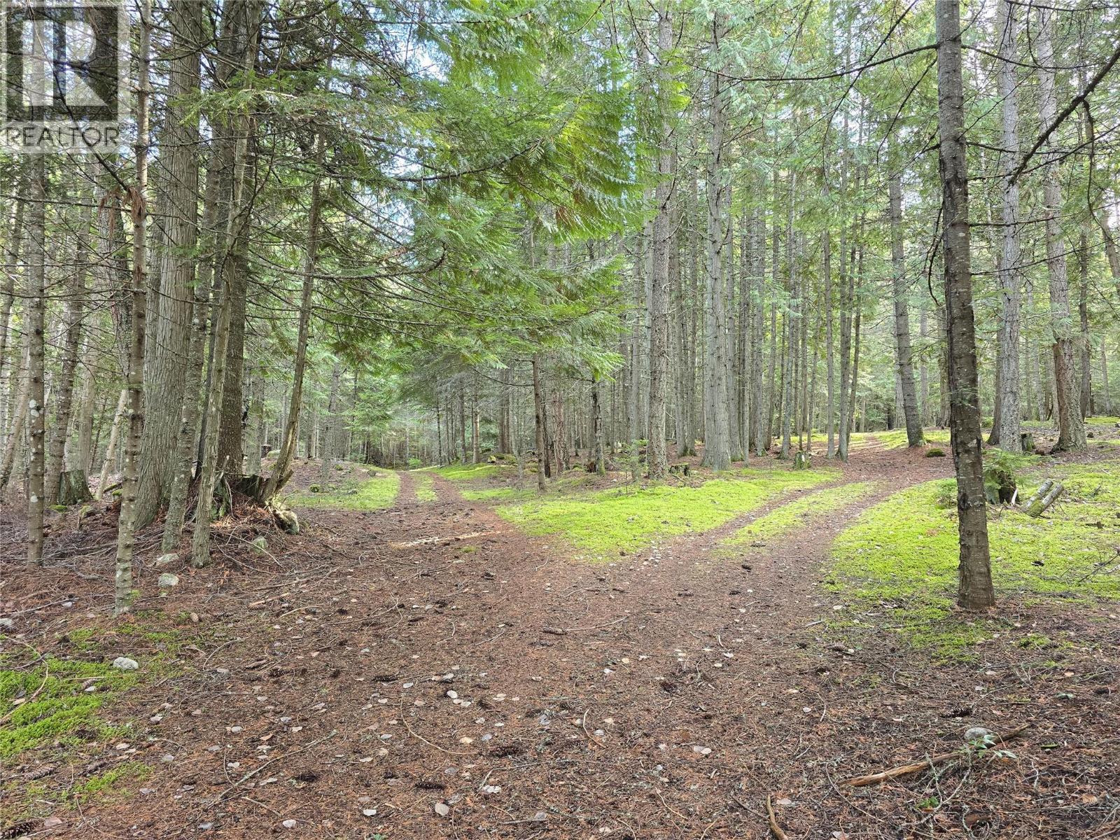 784 Lewis Road, Harrop