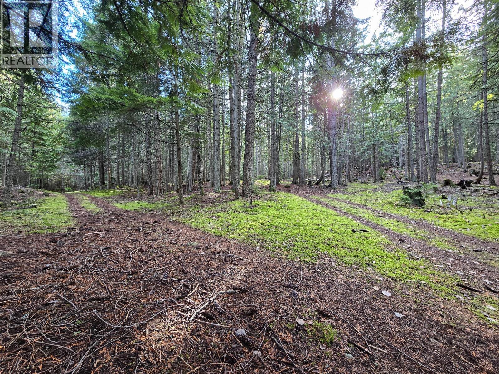 784 Lewis Road, Harrop