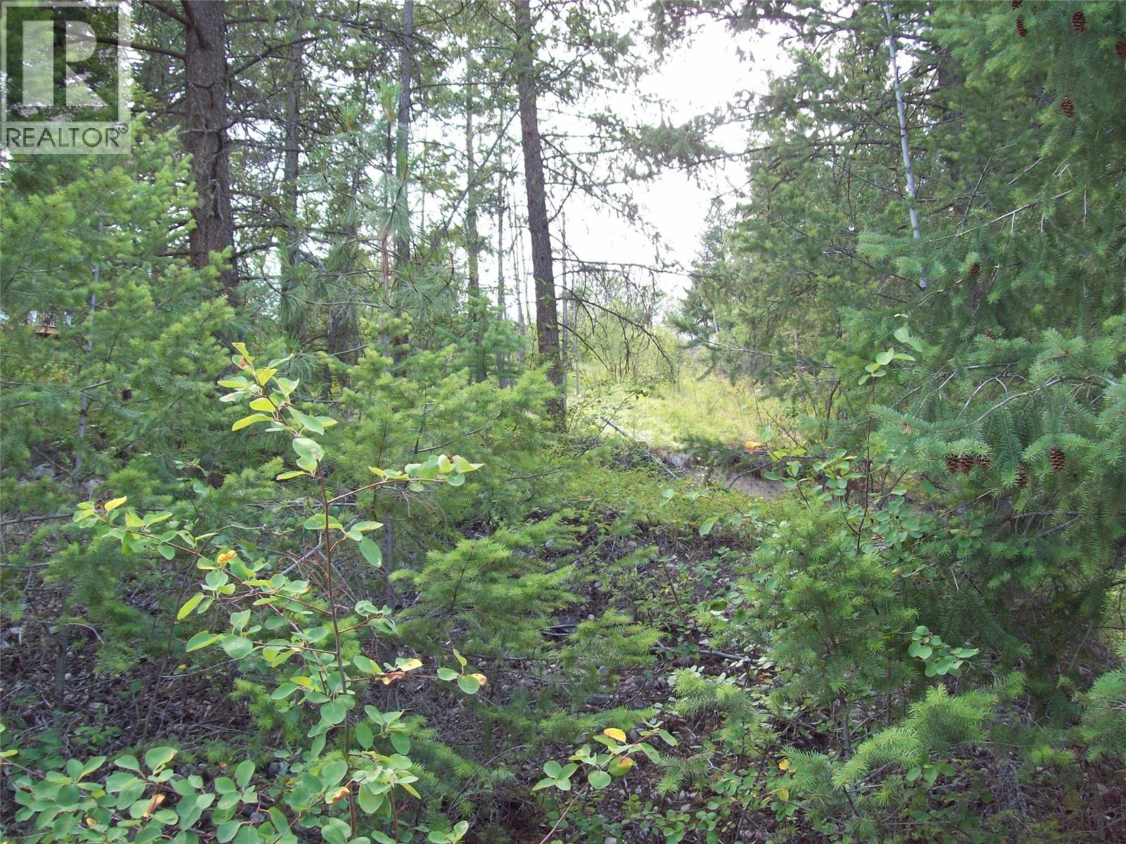 358 Mountain Drive - main photo