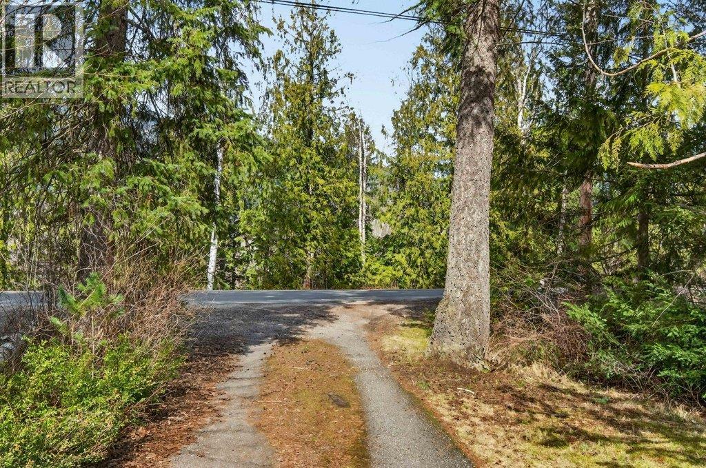 4198 Malakwa Road - 6