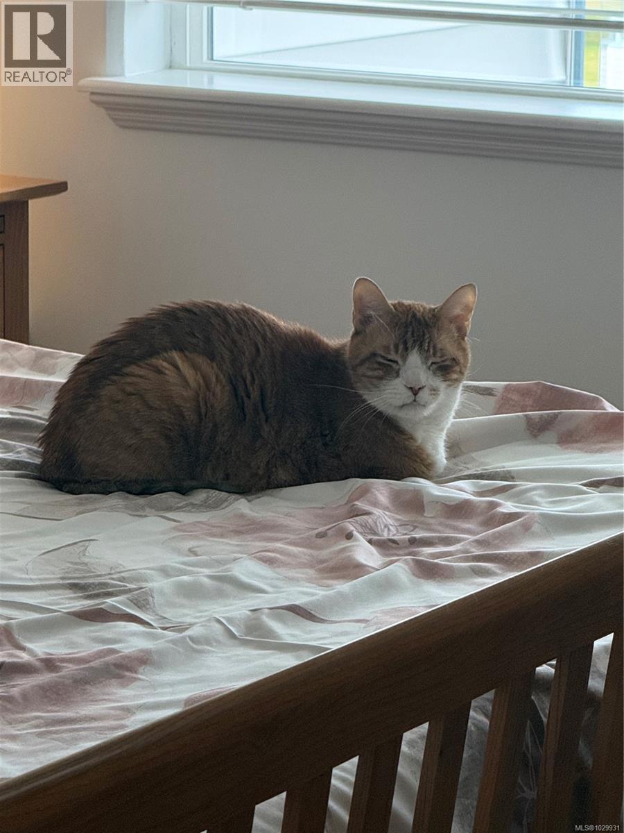 #211 1633 DUFFERIN CRES - 21