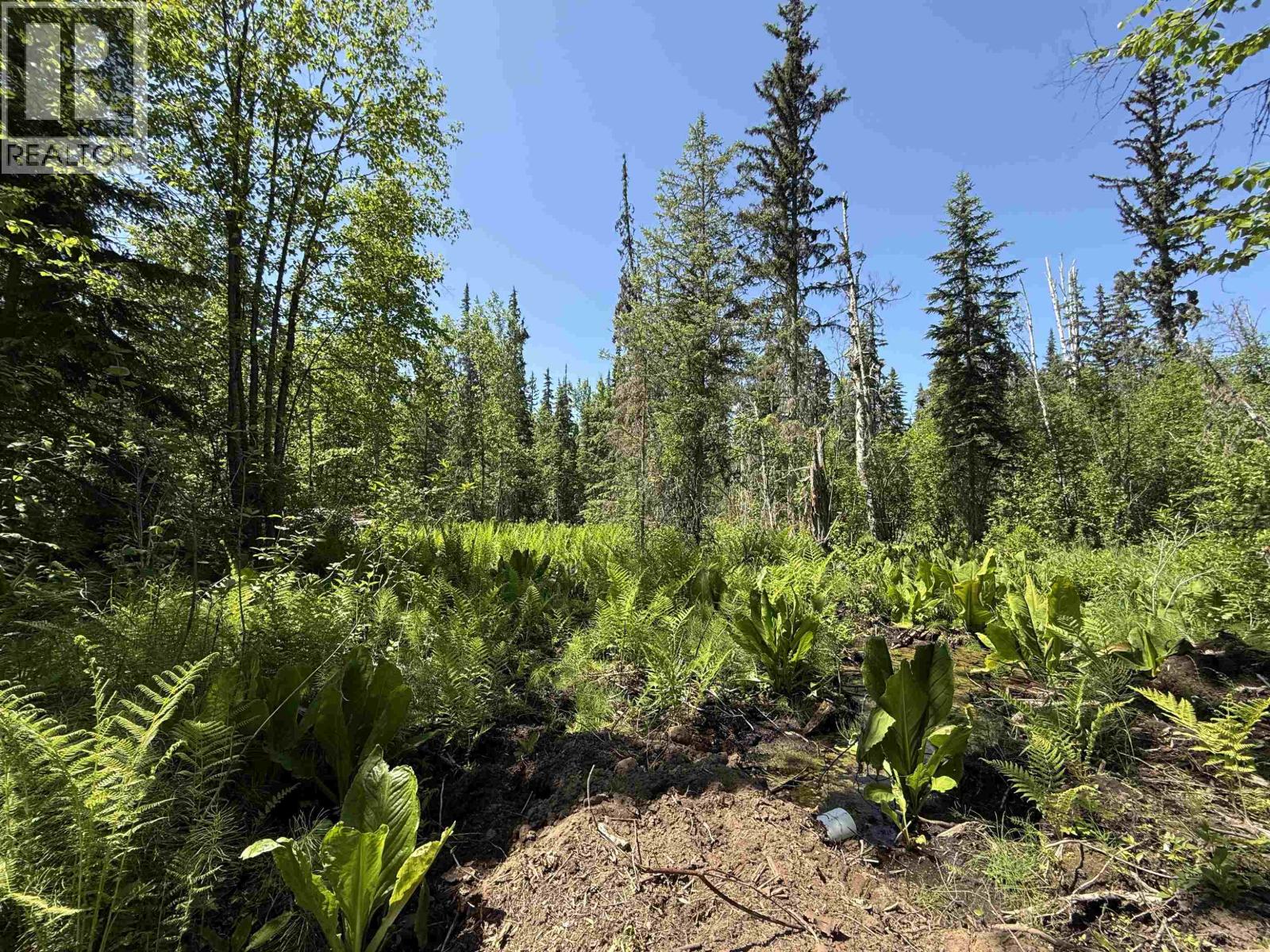 24151 RIVER Road, Smithers