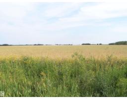 Twp 551 Rr234, Rural Sturgeon County, AB T8T2A7 Photo 8