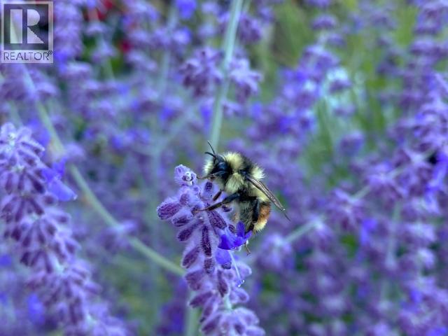 3265 ATREVIDA ROAD - 55