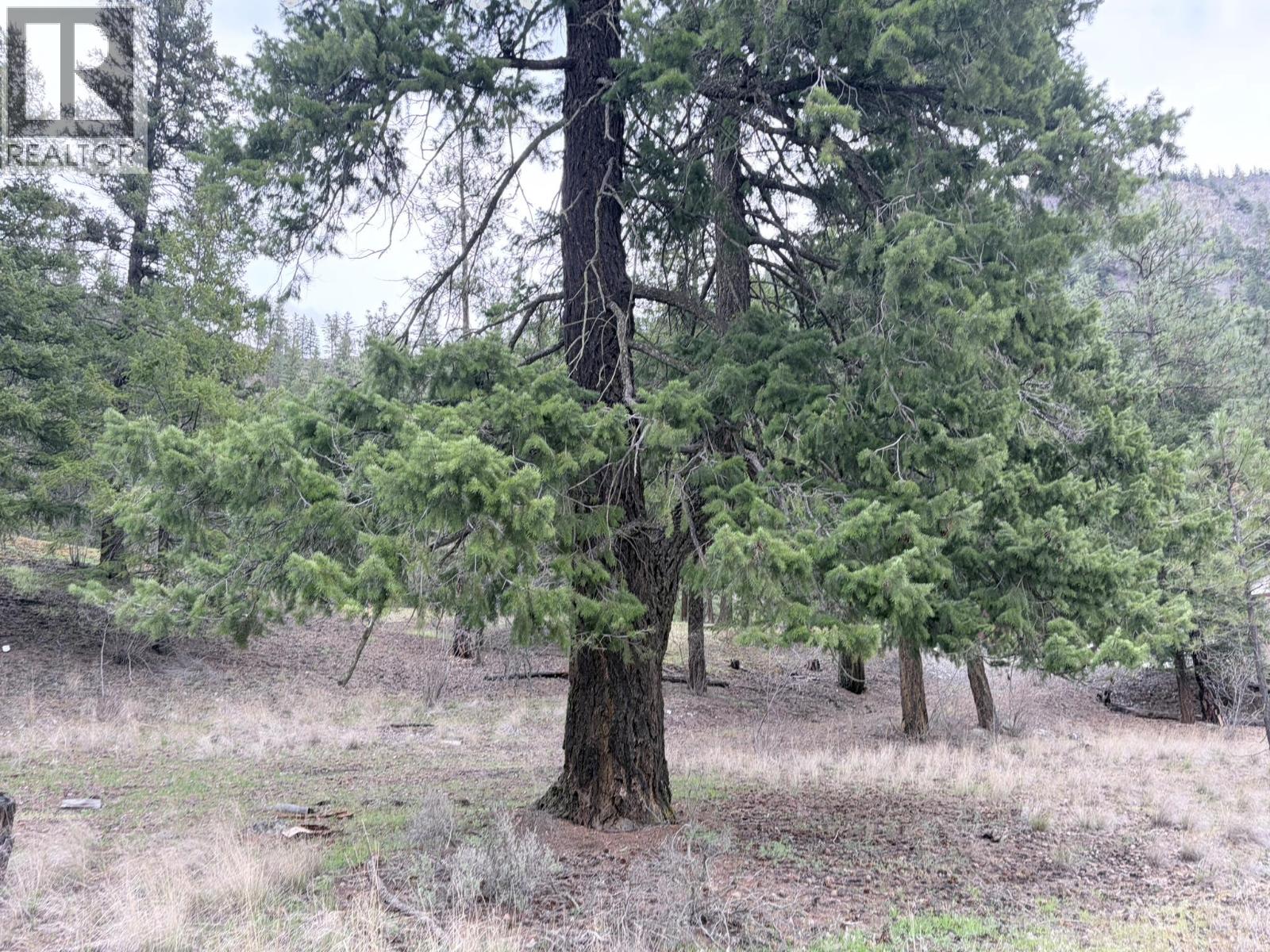  5667 Highway 12 Highway, Lillooet