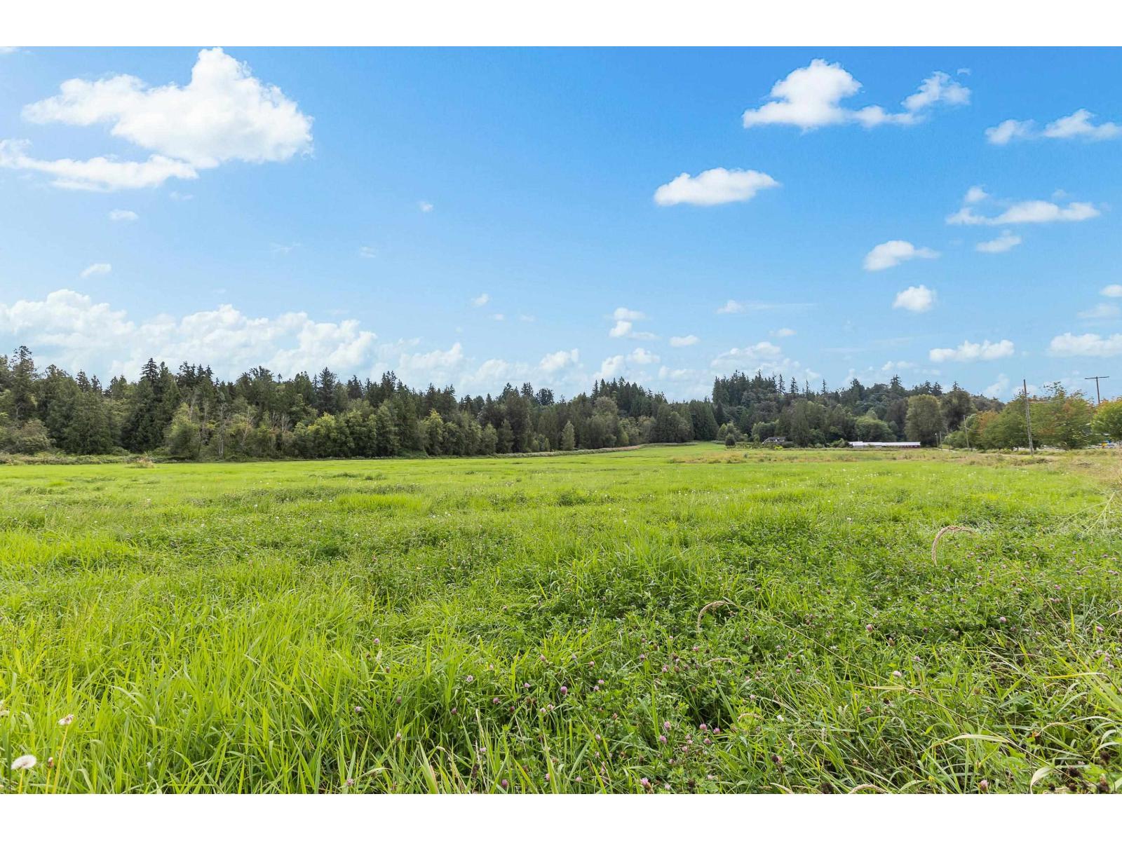 24250 88 AVENUE, Langley