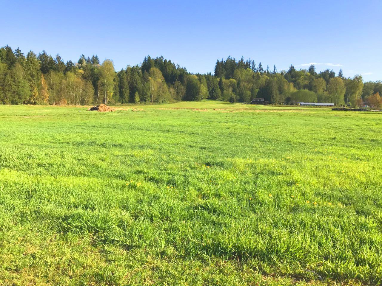 24250 88 AVENUE, Langley