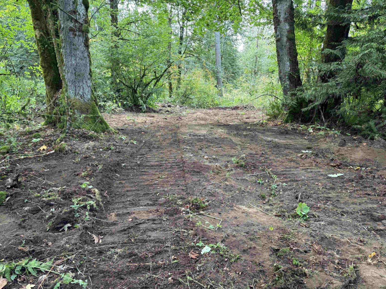 24250 88 AVENUE, Langley