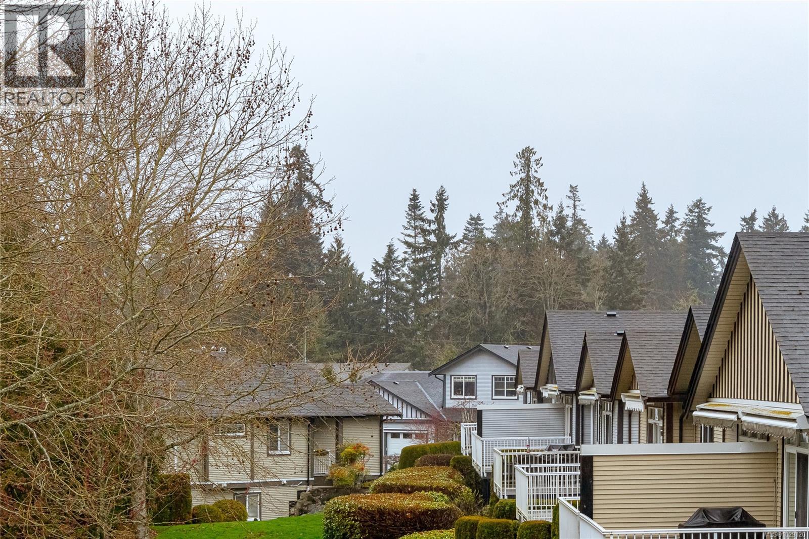 #23 3110 COOK ST - 27