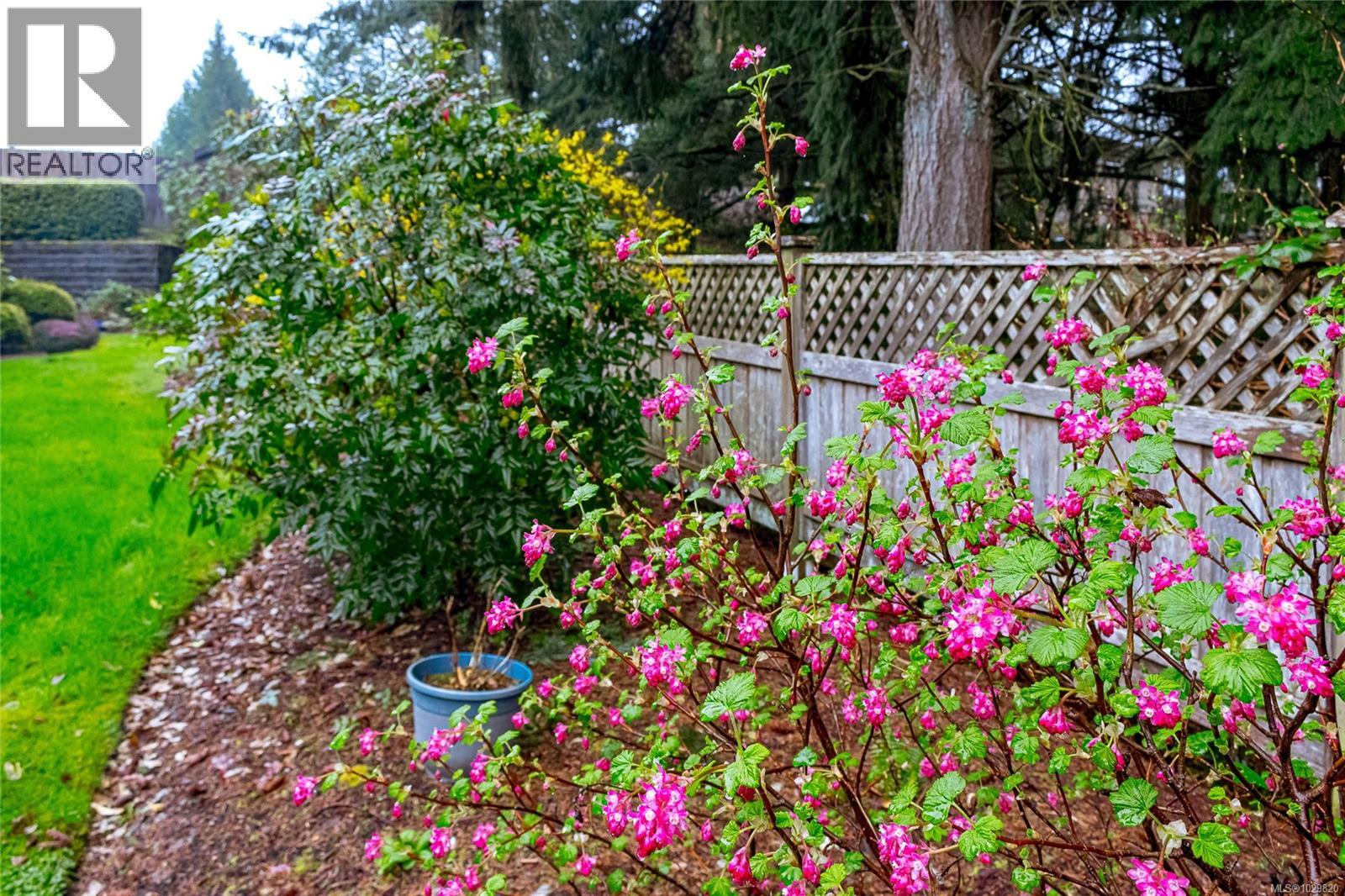 #23 3110 COOK ST - 34