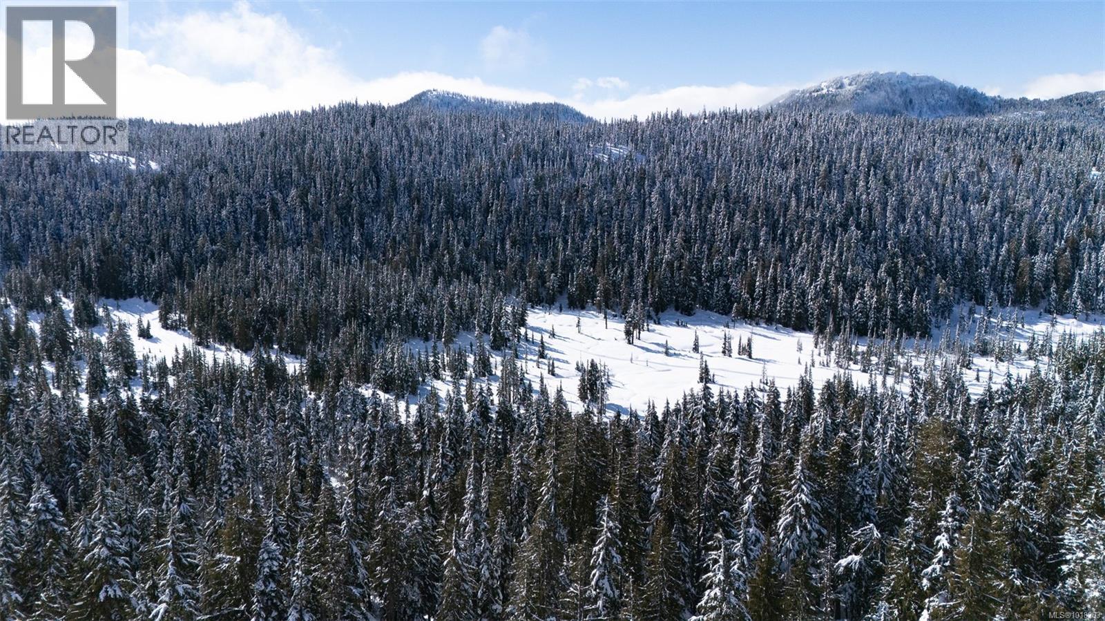 570 ARROWSMITH RIDGE - 62