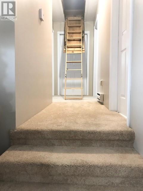 15 Cox Avenue - 25