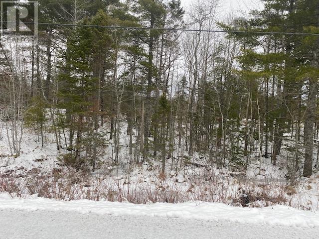 Property photo of Lot 1 Newburne Road