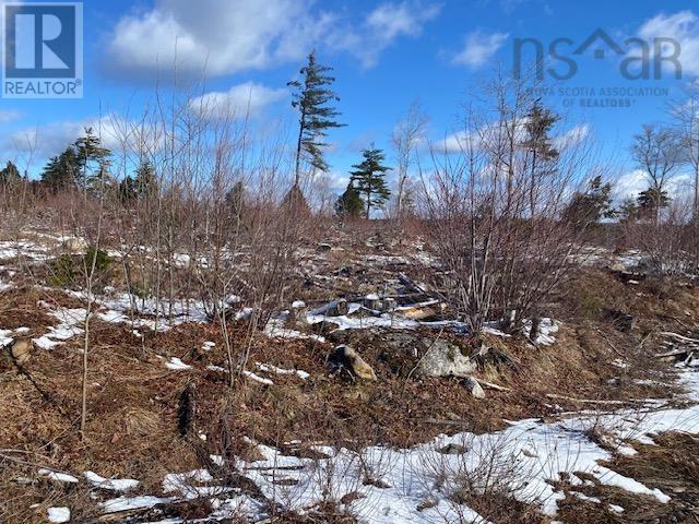 Property 1 of 4 of No.8 Highway Maitland Bridge