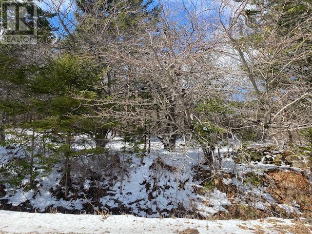 Property photo of No.8 Highway Maitland Bridge