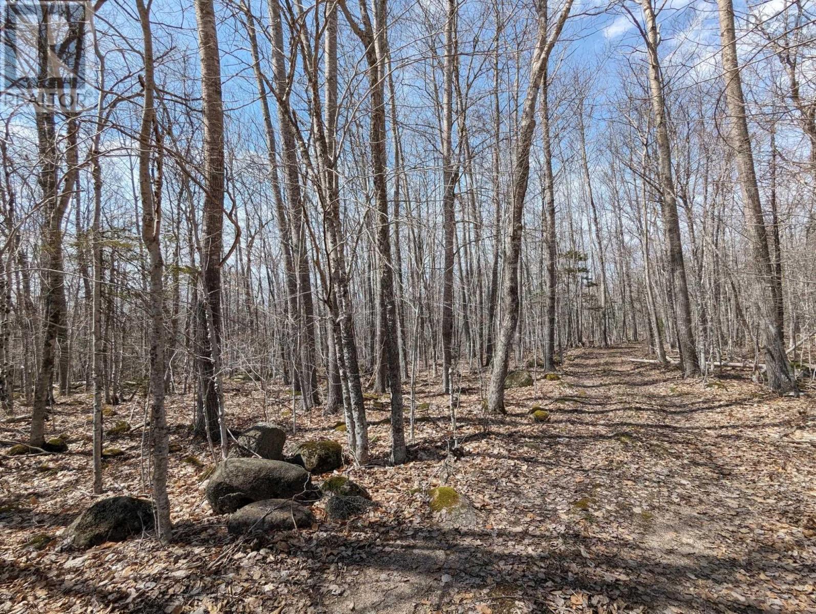 Property 11 of 12 of 111 East Side Drive