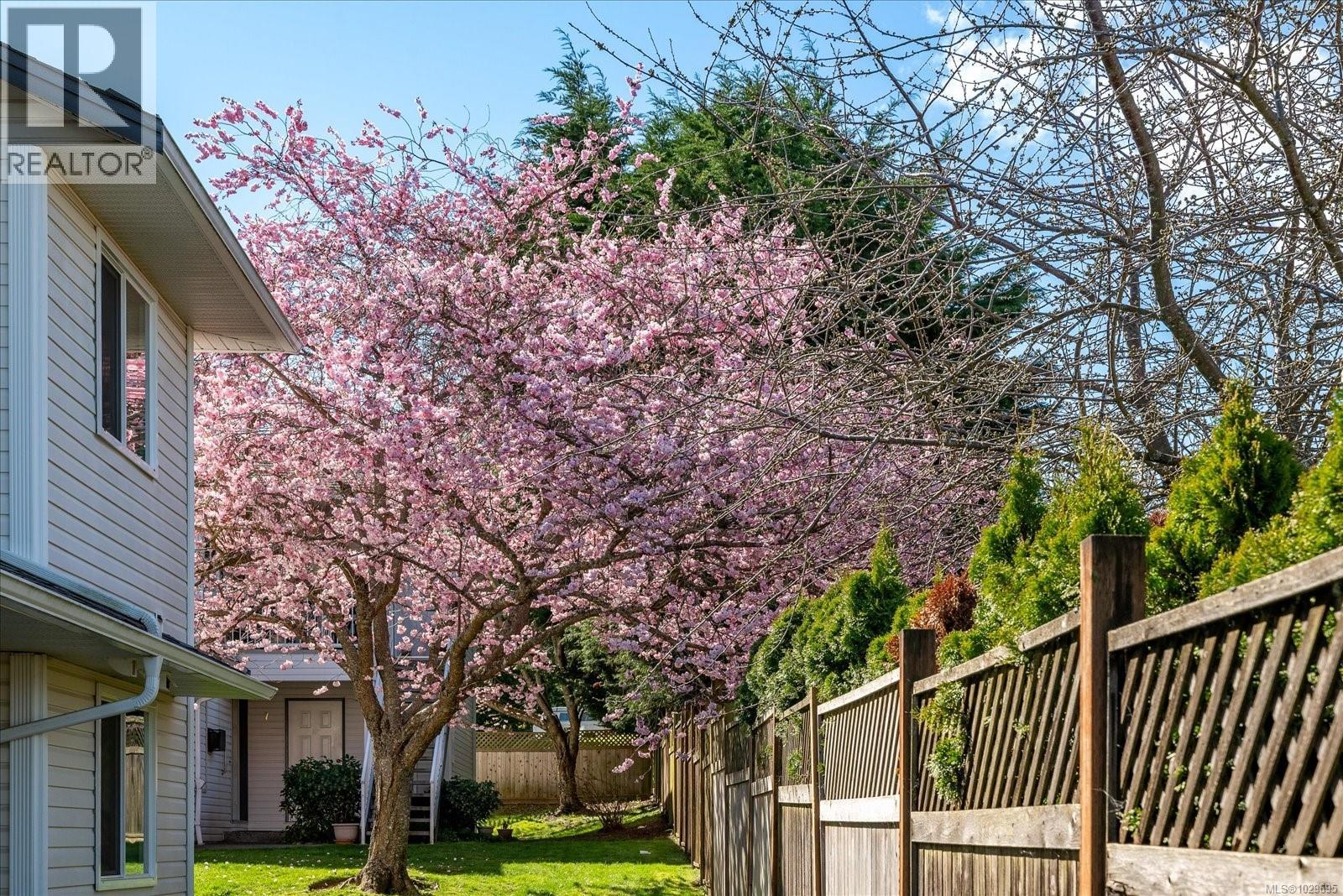 #17 6245 BLUEBACK RD - 27