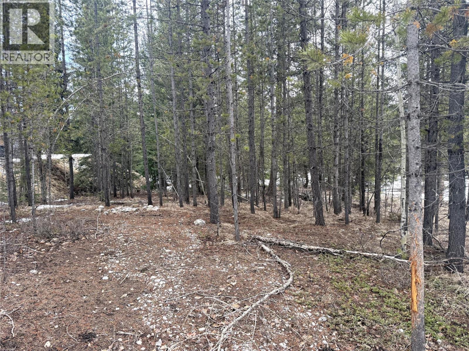 18 Darby Crescent, Elkford