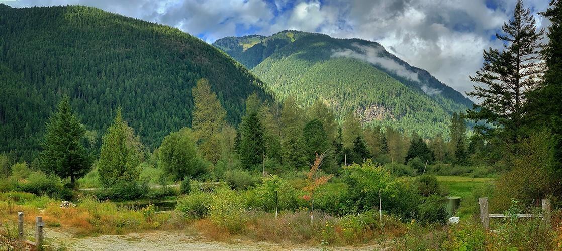 H118 STRAWBERRY Lane - main photo