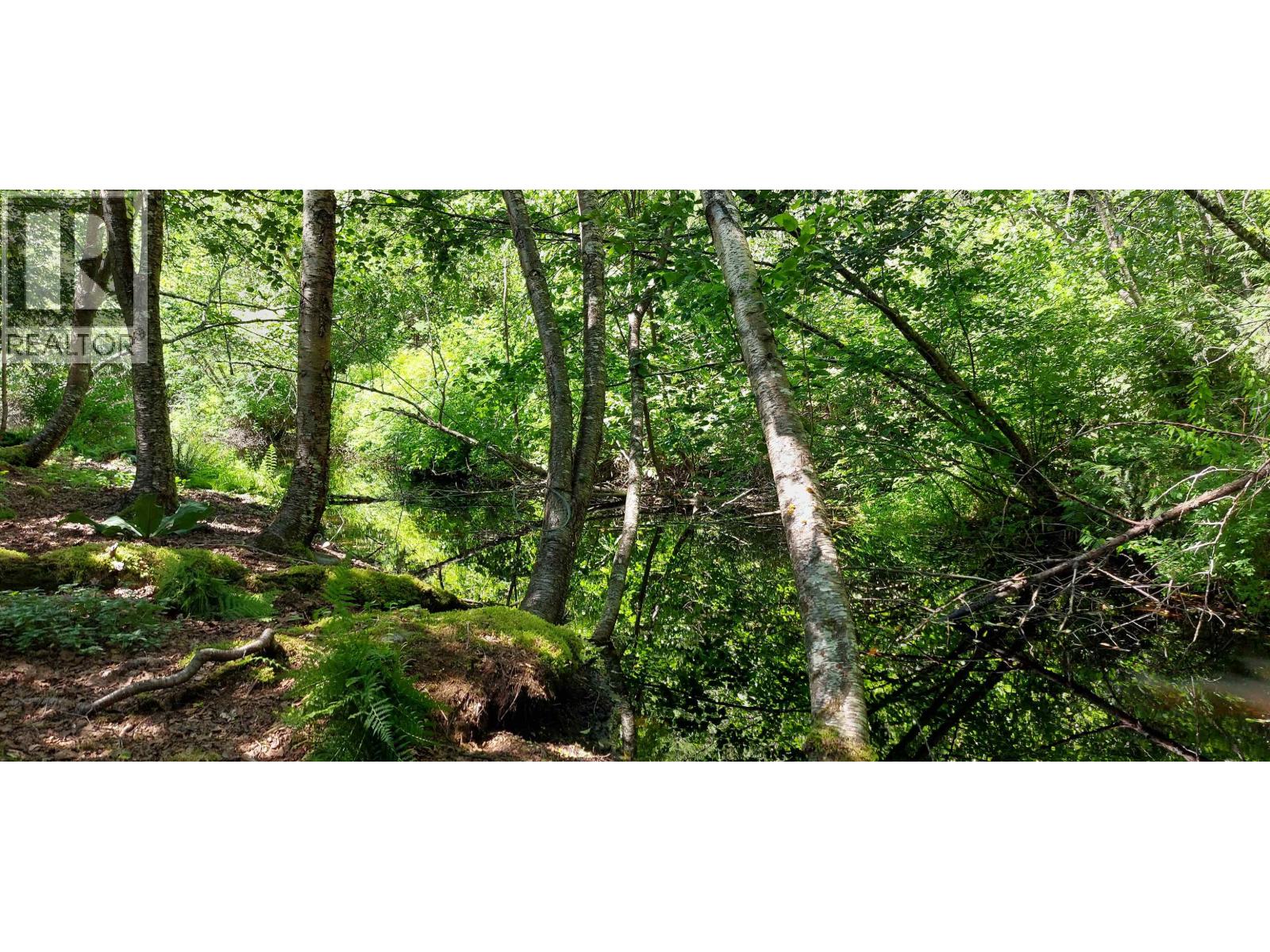 2459 SALOOMPT ROAD - 38