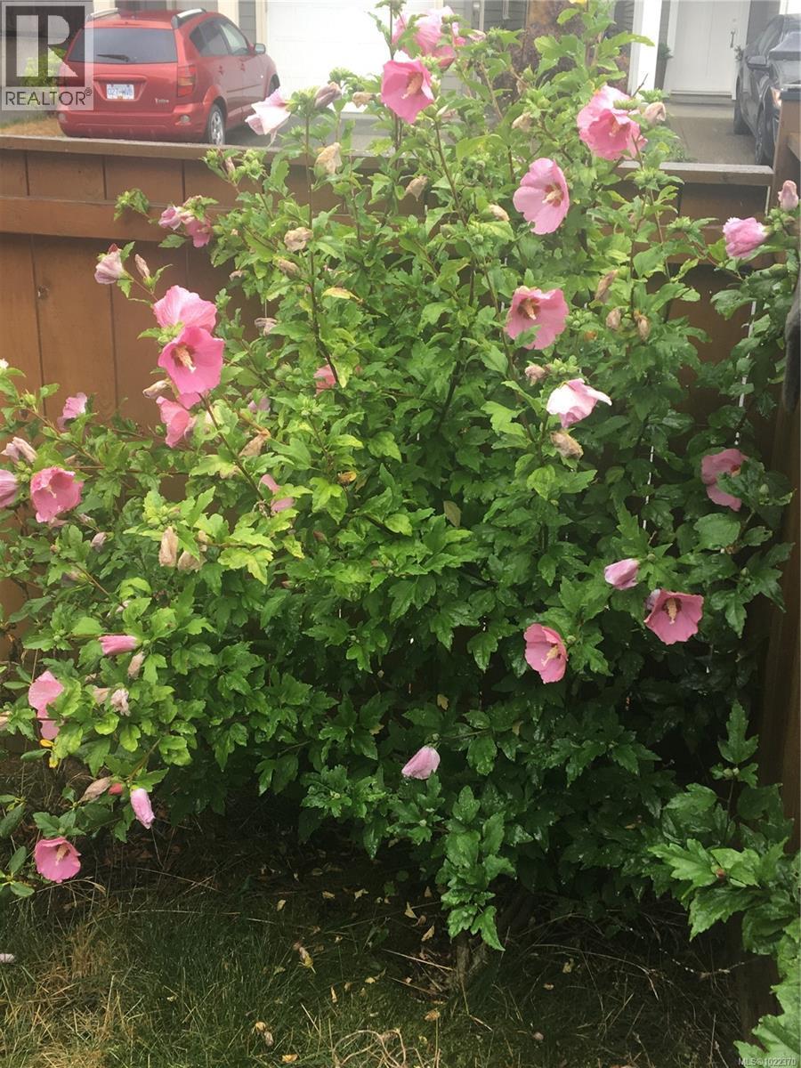  3354 Vision Way, Langford