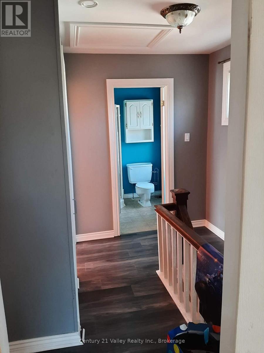 127 JENNET STREET — photo 43