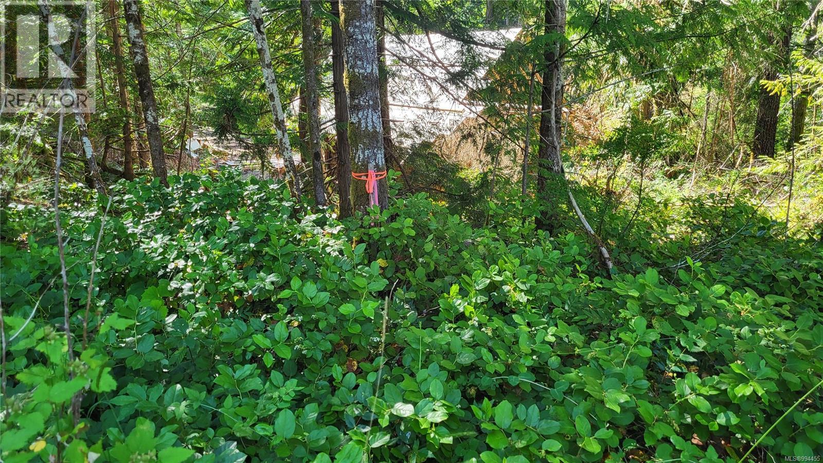 Lot 3 Cowichan Lake Rd, Duncan