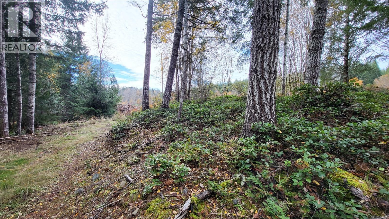 Lot 3 Cowichan Lake Rd, Duncan