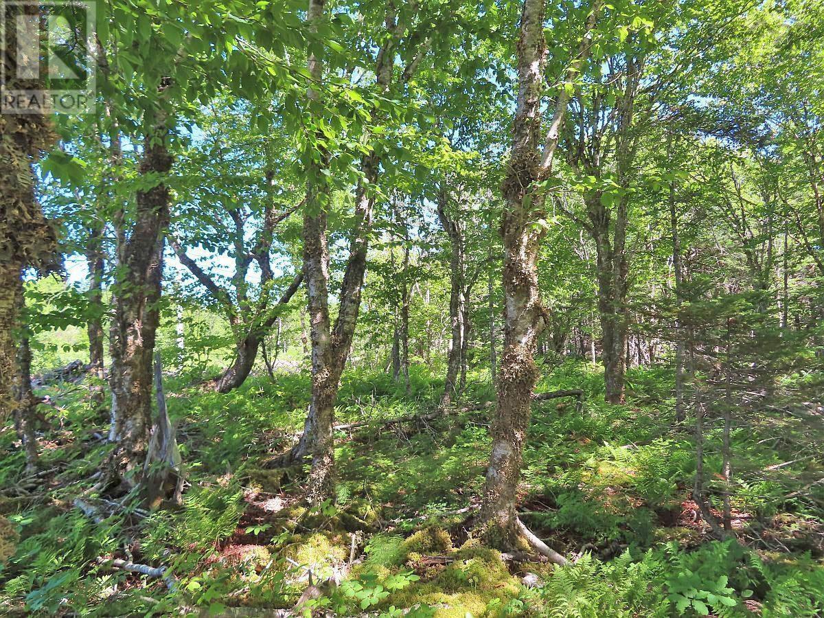 Property 49 of 49 of 118 Acres Loch Lomond Road