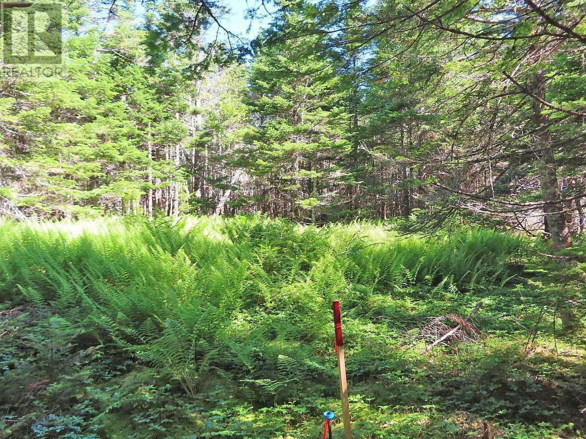 Property 29 of 49 of 118 Acres Loch Lomond Road