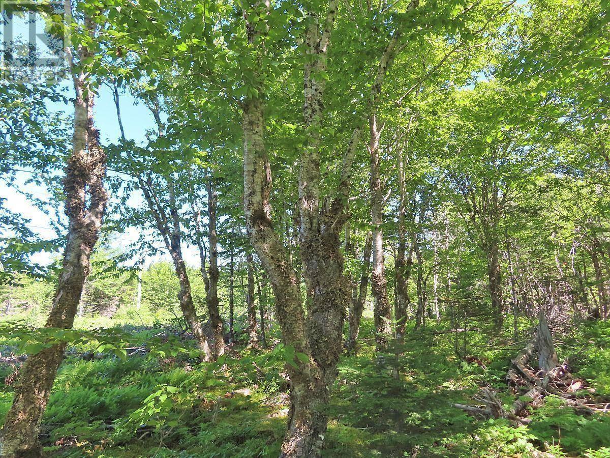 Property 5 of 49 of 118 Acres Loch Lomond Road