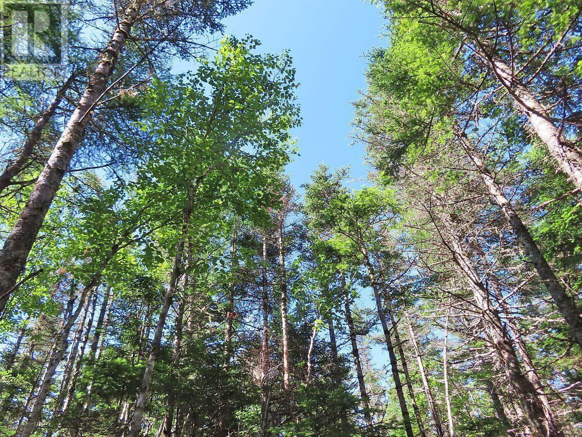 Property 8 of 49 of 118 Acres Loch Lomond Road