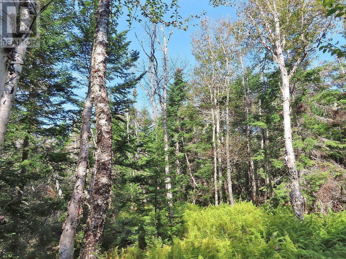 Property 11 of 49 of 118 Acres Loch Lomond Road