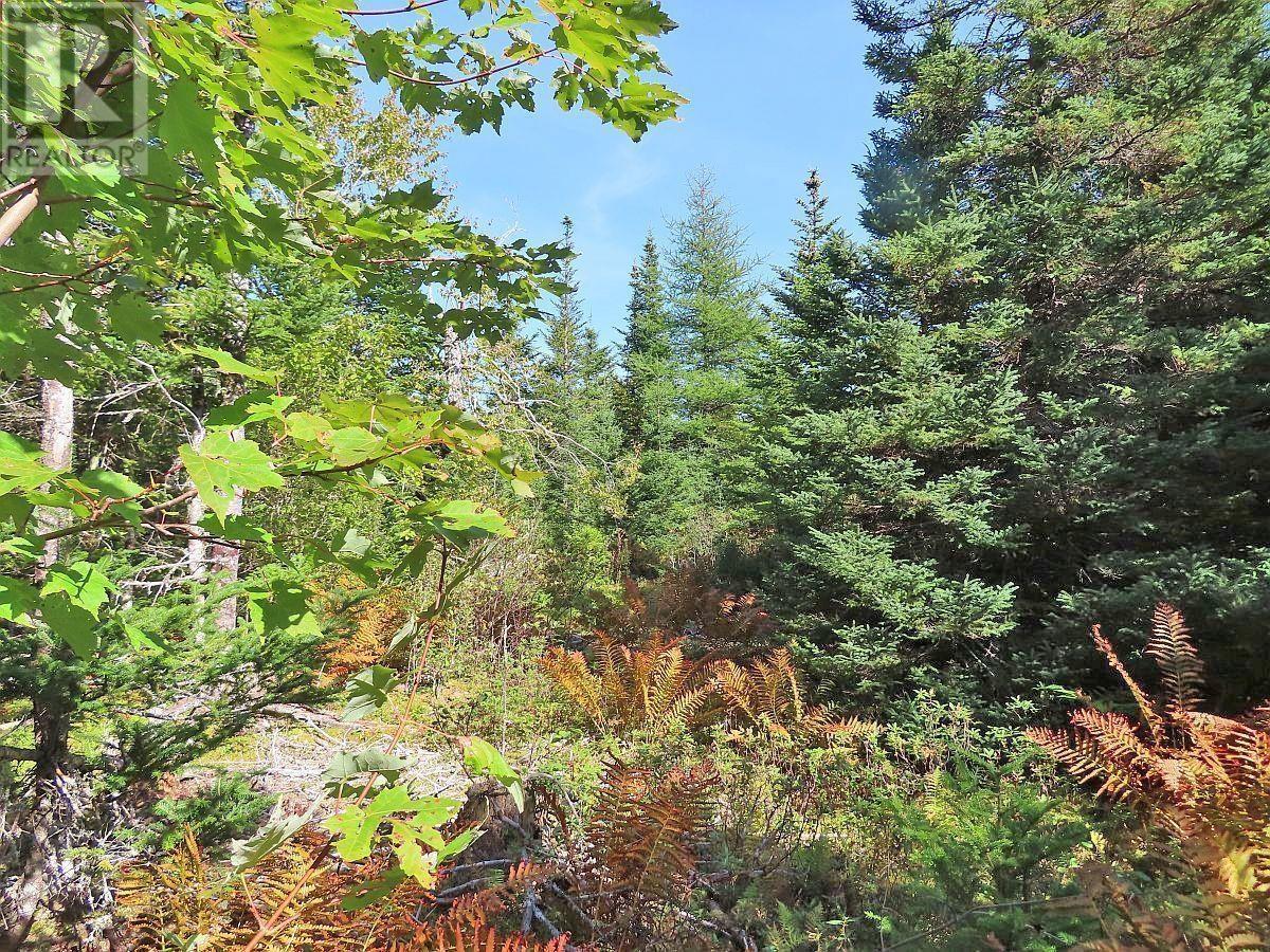 Property 31 of 49 of 118 Acres Loch Lomond Road