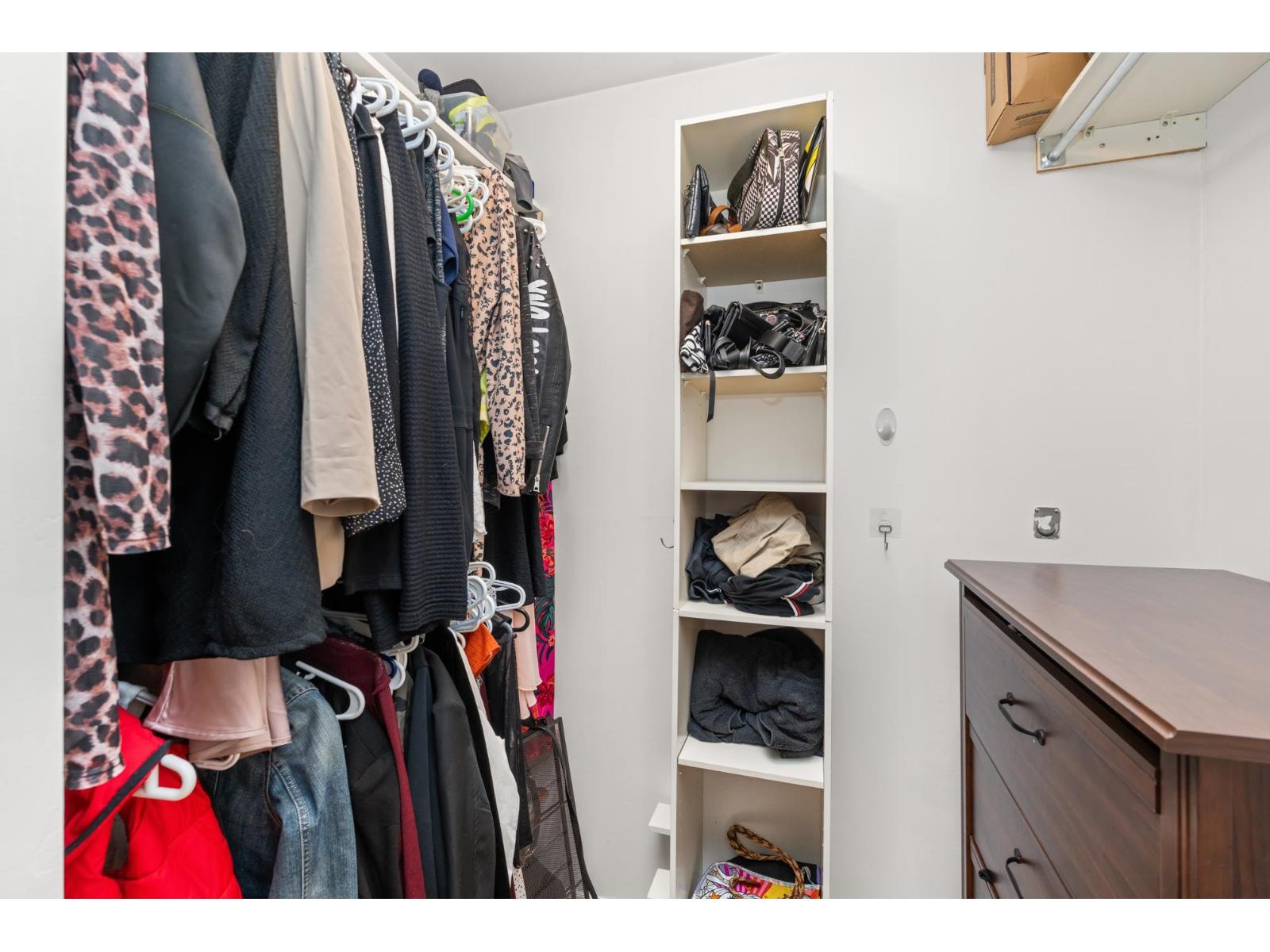 6113 W GREENSIDE DRIVE, Surrey