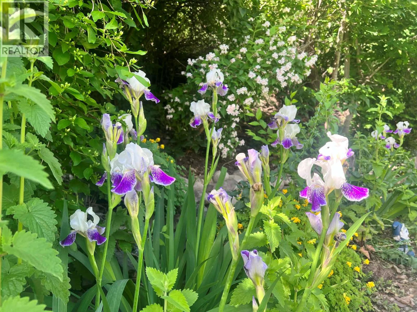 12612 Giants Head Road Unit# 3, Summerland