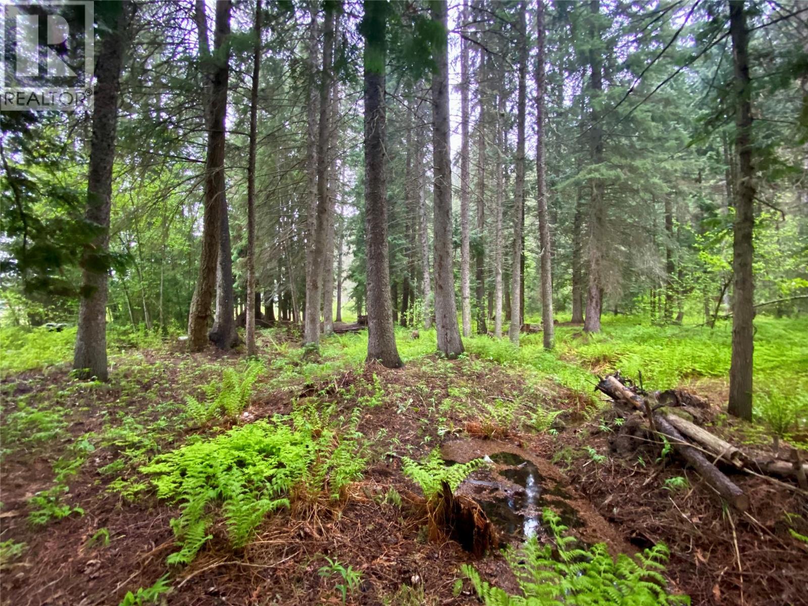 11251 THREE FORKS ROAD - 49